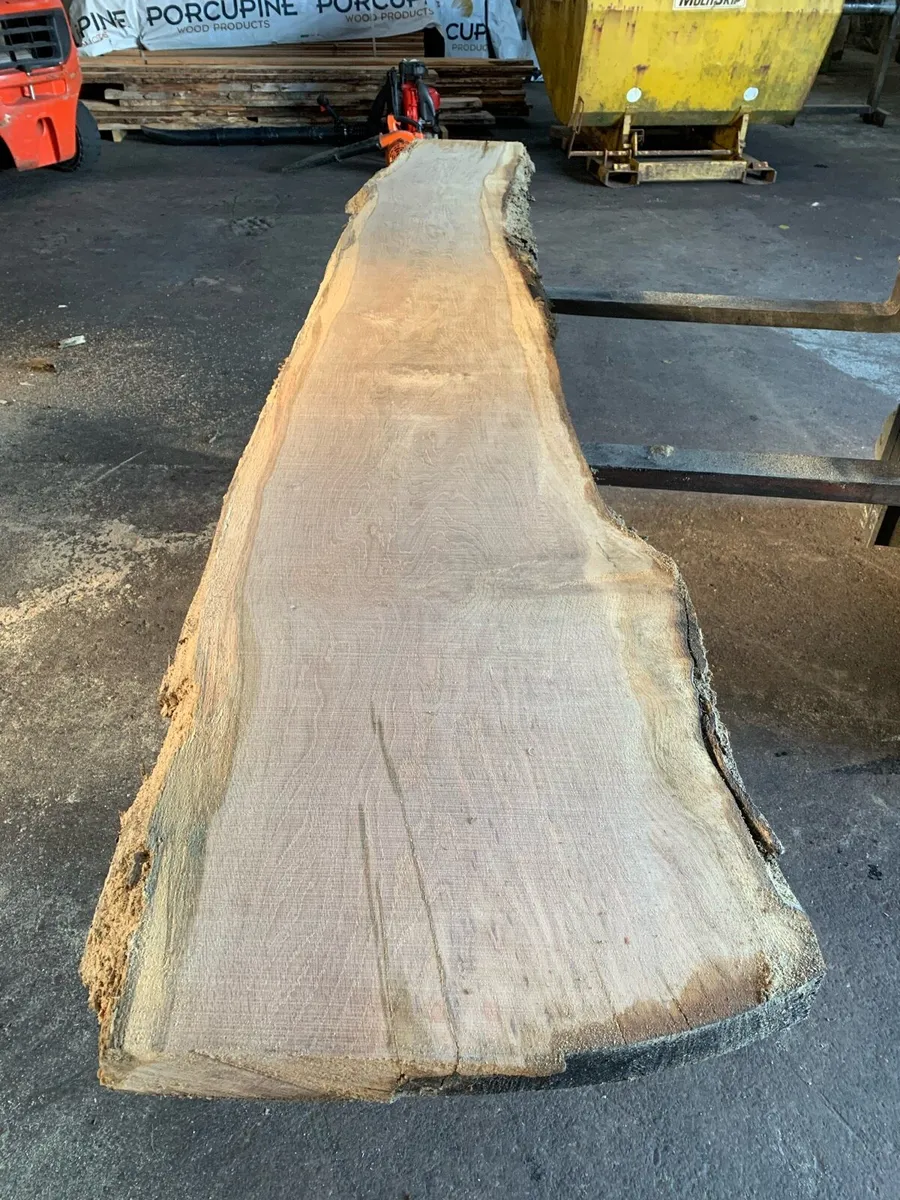Oak Slabs - Image 2