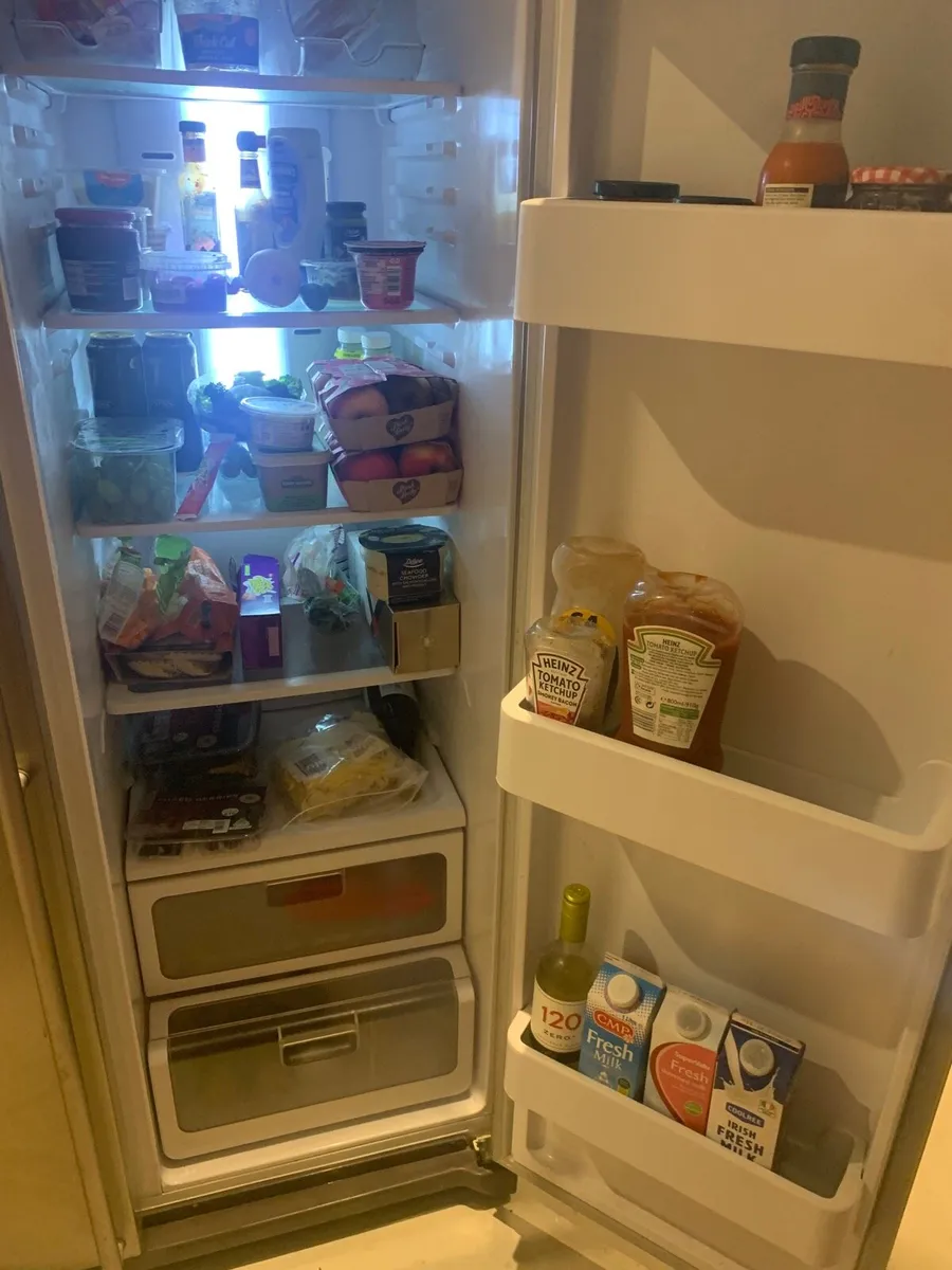 American fridge freezer - Image 4