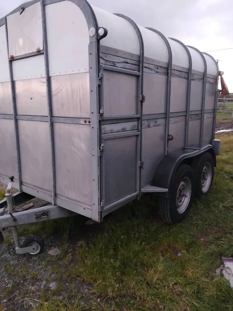 Nugent Cattle Trailer 10'x6' - Image 1