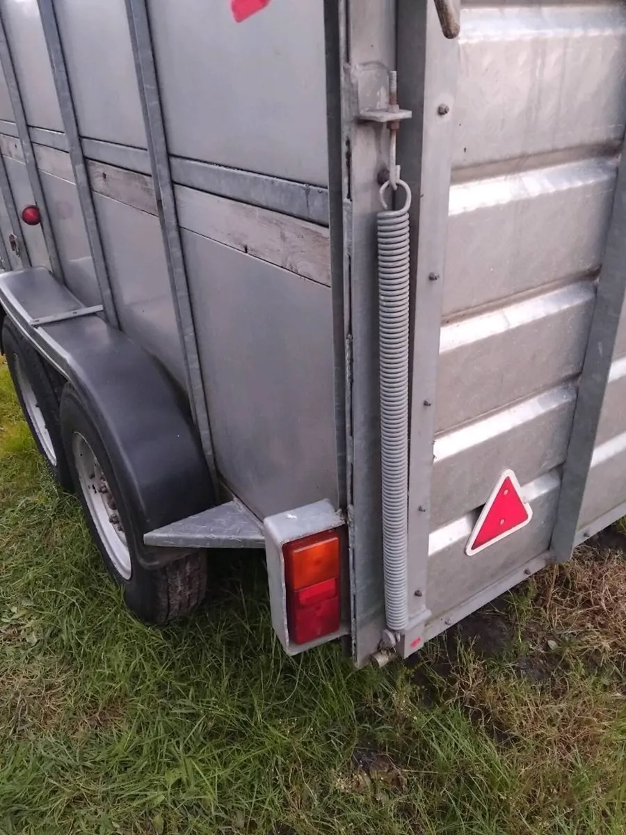 Nugent Cattle Trailer 10'x6' - Image 2