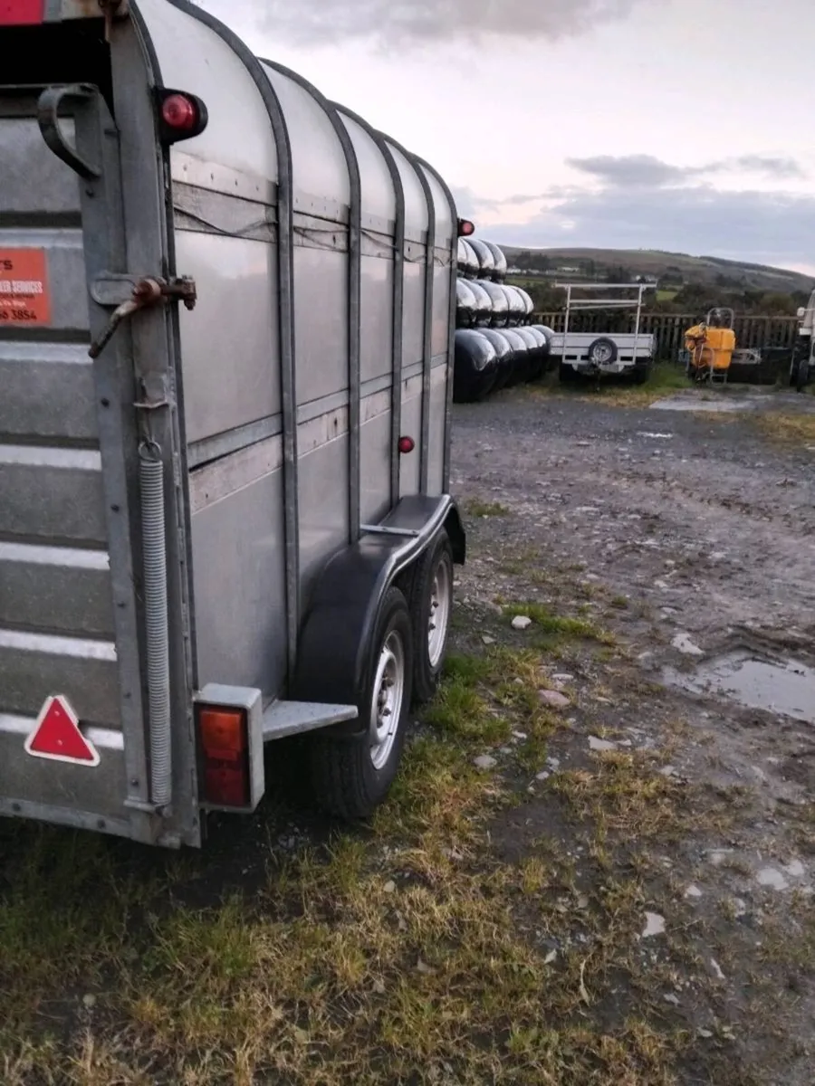 Nugent Cattle Trailer 10'x6' - Image 3