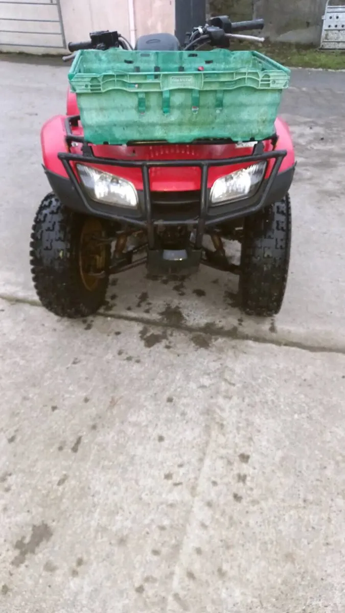Honda 250 quad - Image 2