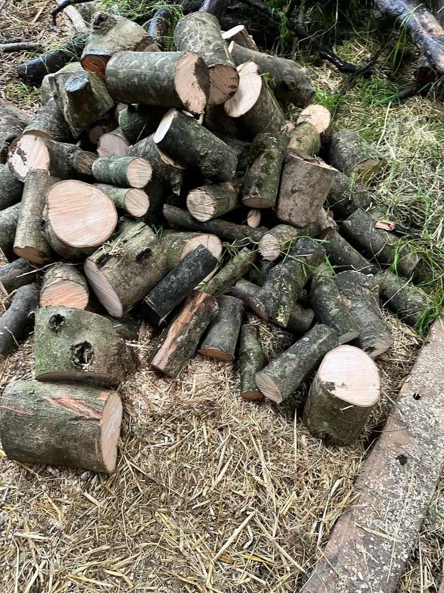Fire wood - Image 1