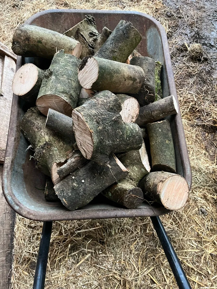 Fire wood - Image 2
