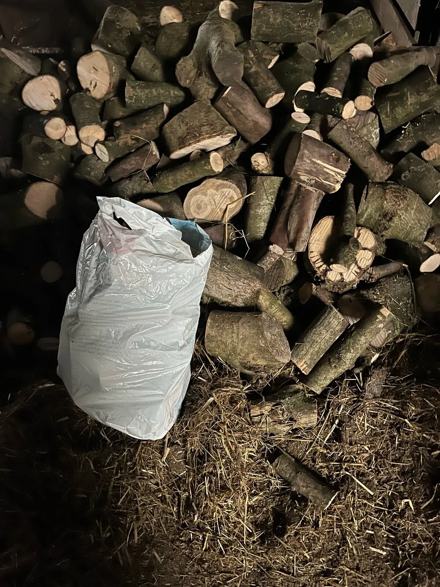 Fire wood - Image 3