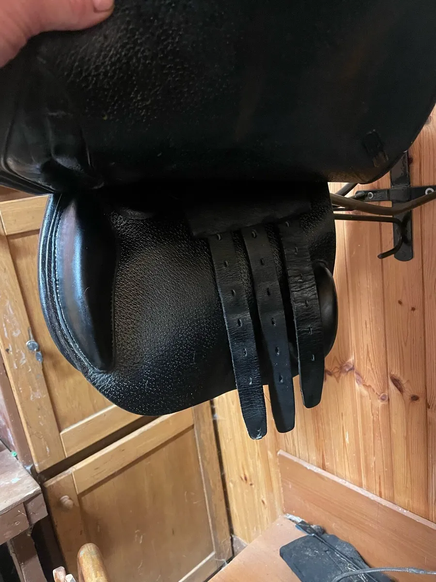 Saddle - Image 2
