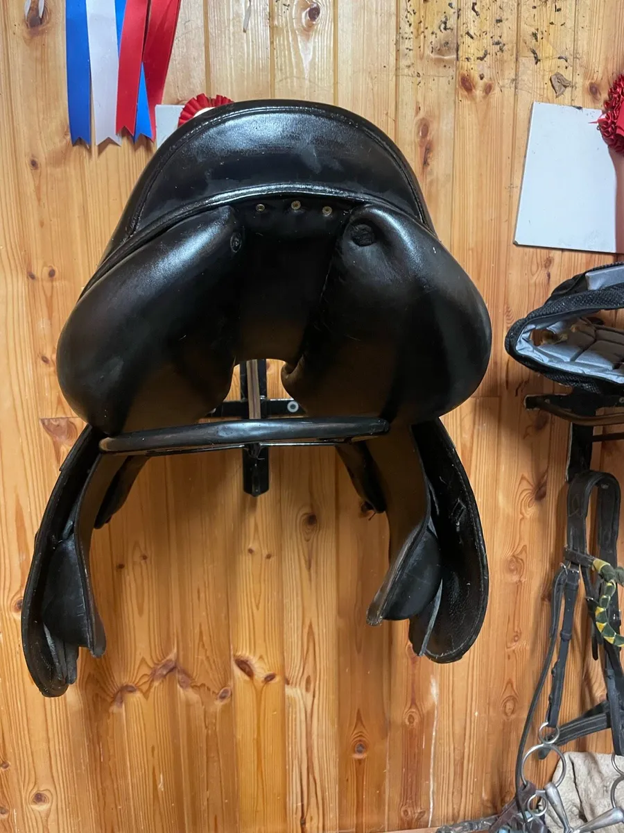 Saddle - Image 3