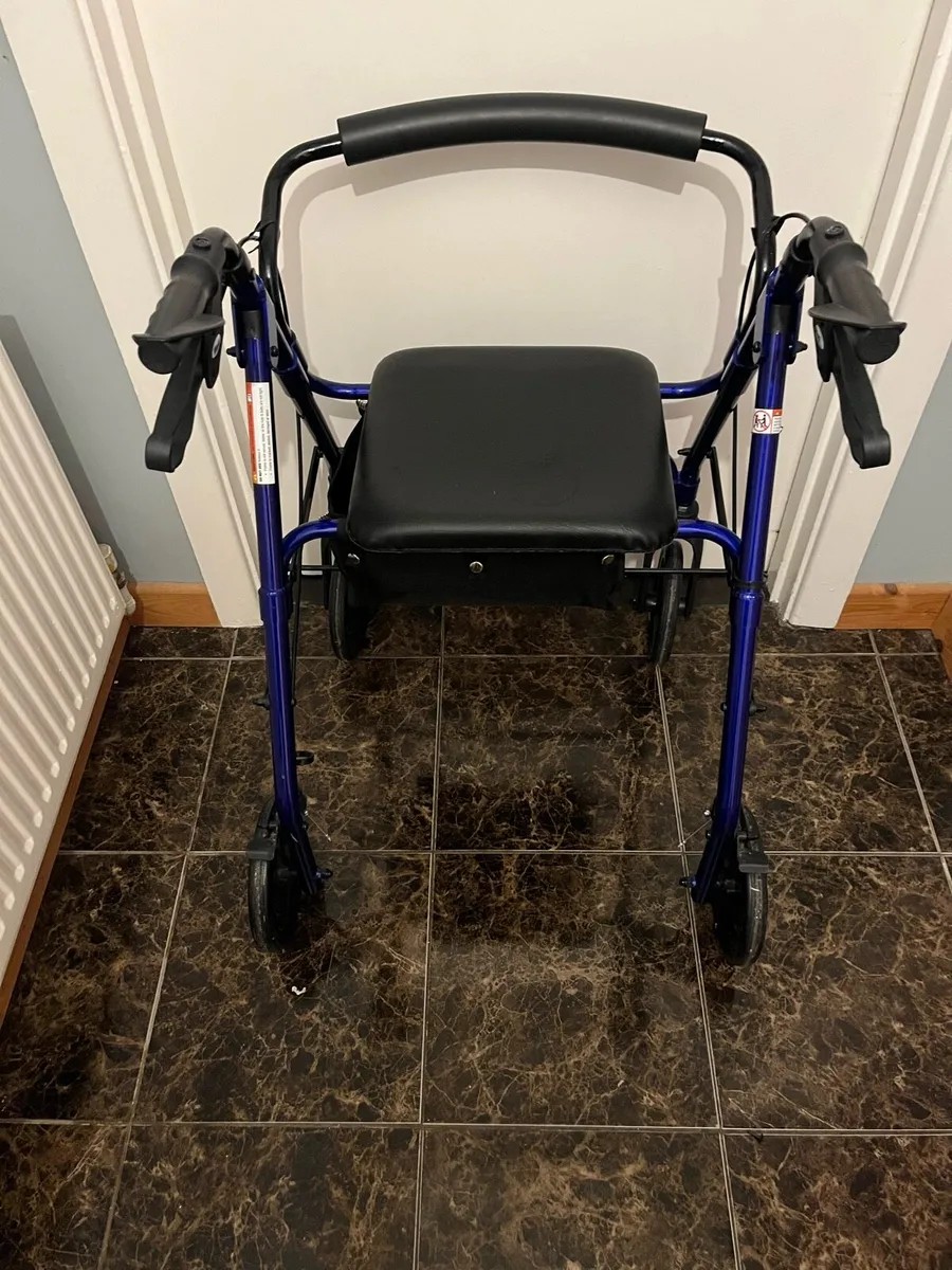 Mobility walker - Image 1