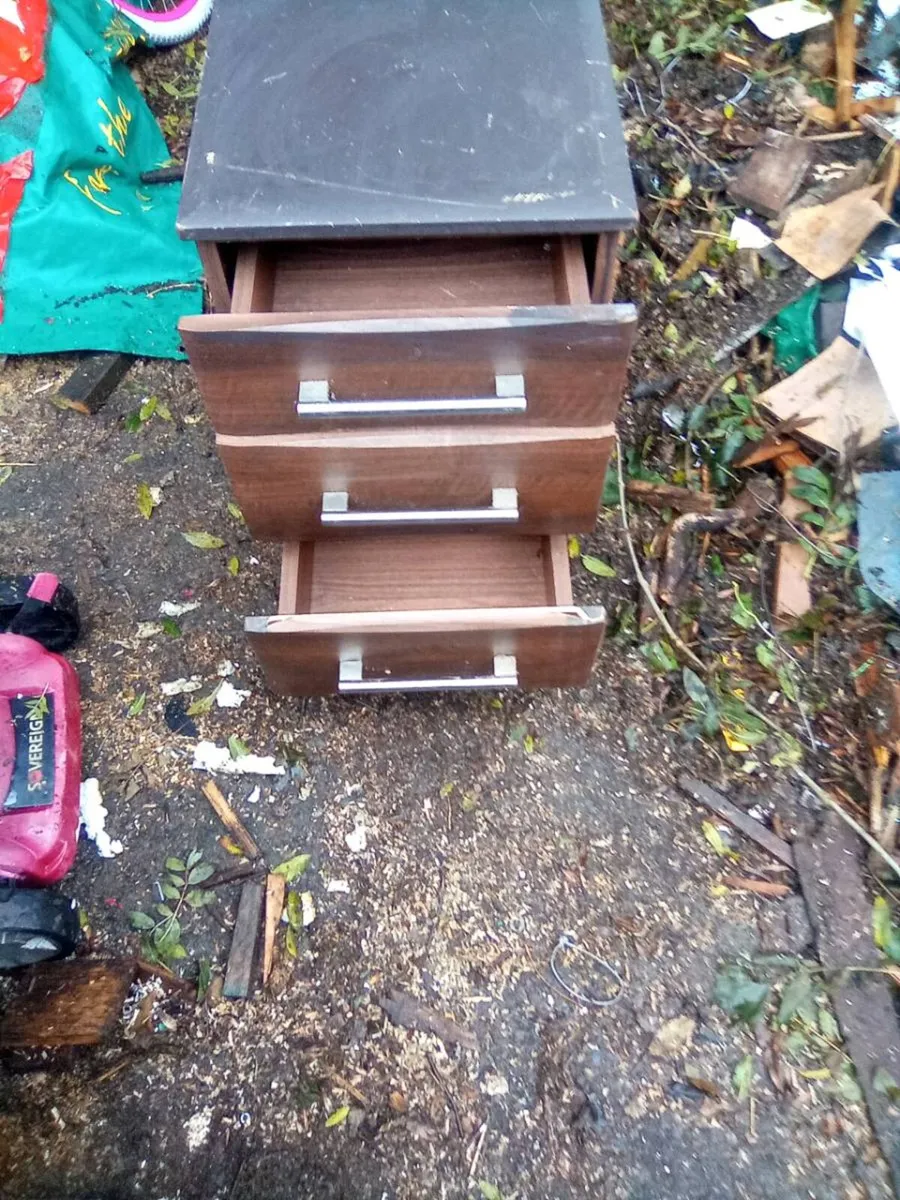 Timber.  Press - Image 4
