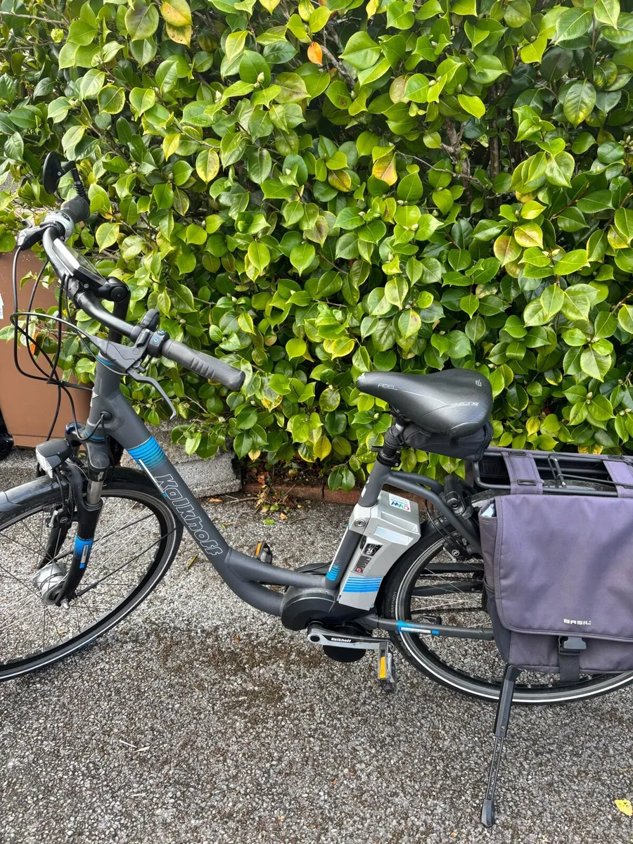 2 E Bikes & Thule Carrier - Image 4