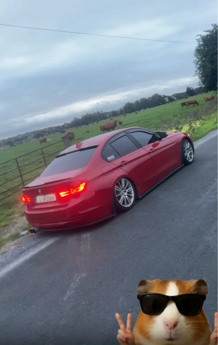 F30 320D - Image 3