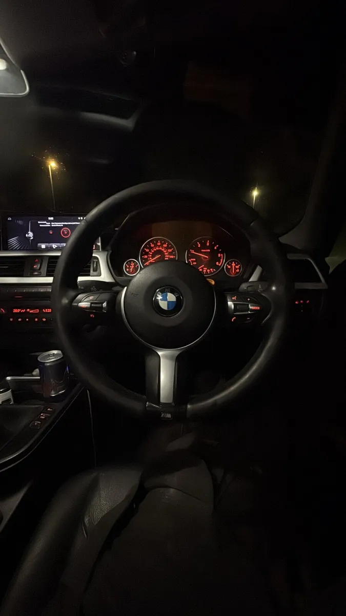 F30 320D - Image 4