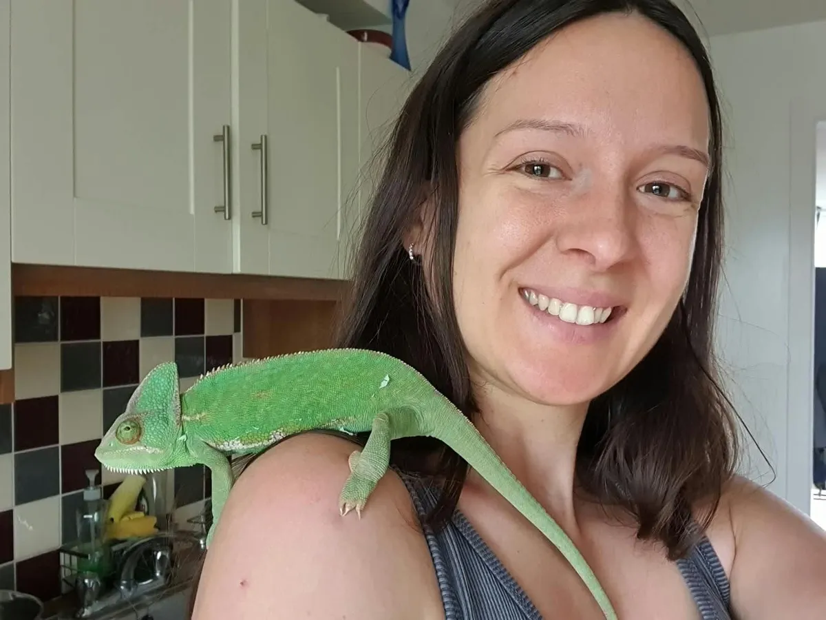 Chameleon - Image 2