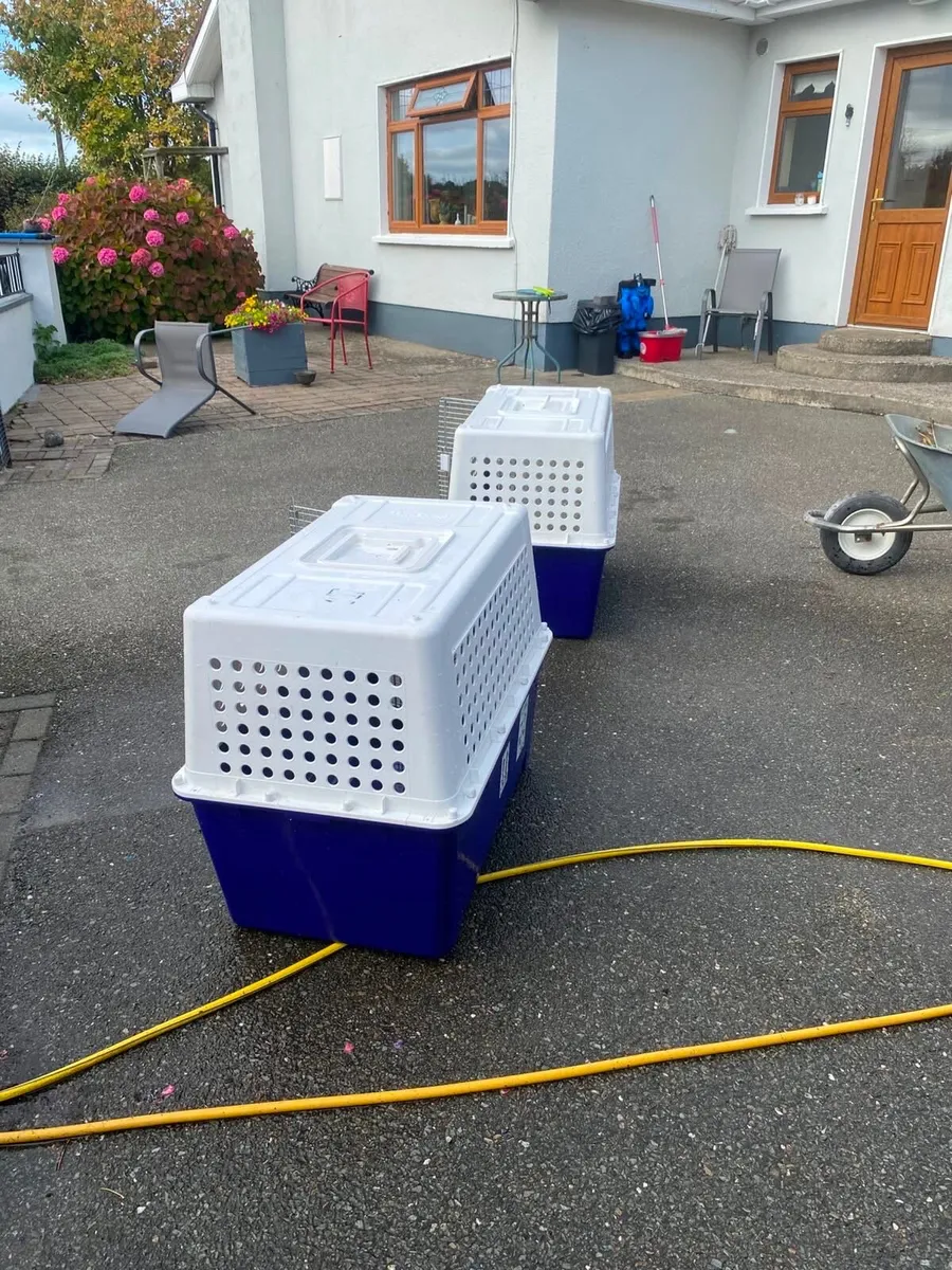 Pet carriers - Image 3