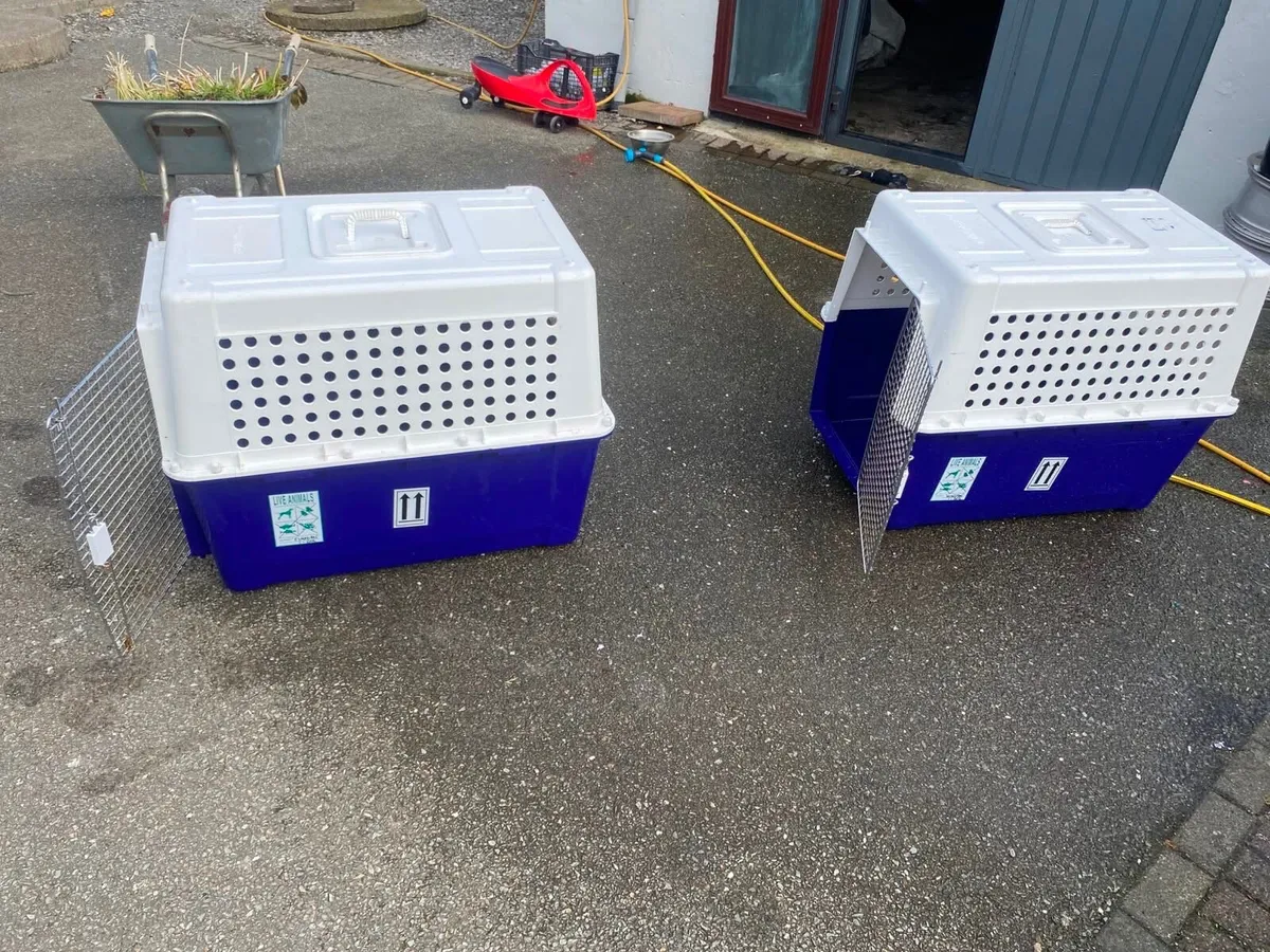 Pet carriers - Image 4