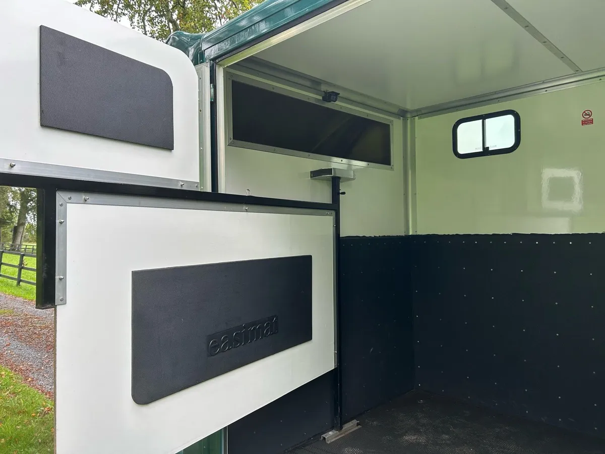 2017 Renault Master 2 horse van - Image 4