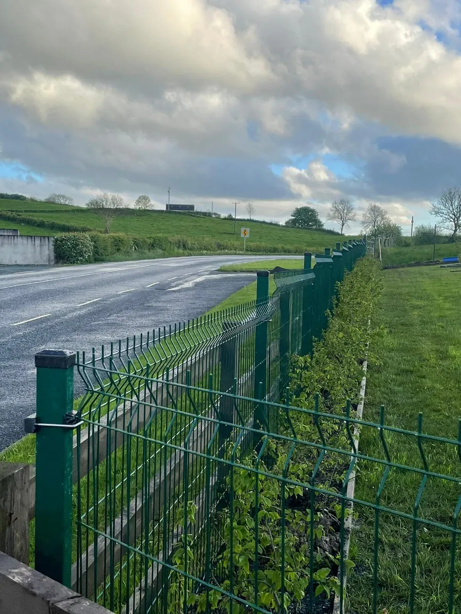 Vmesh fence, Gate . - Image 3