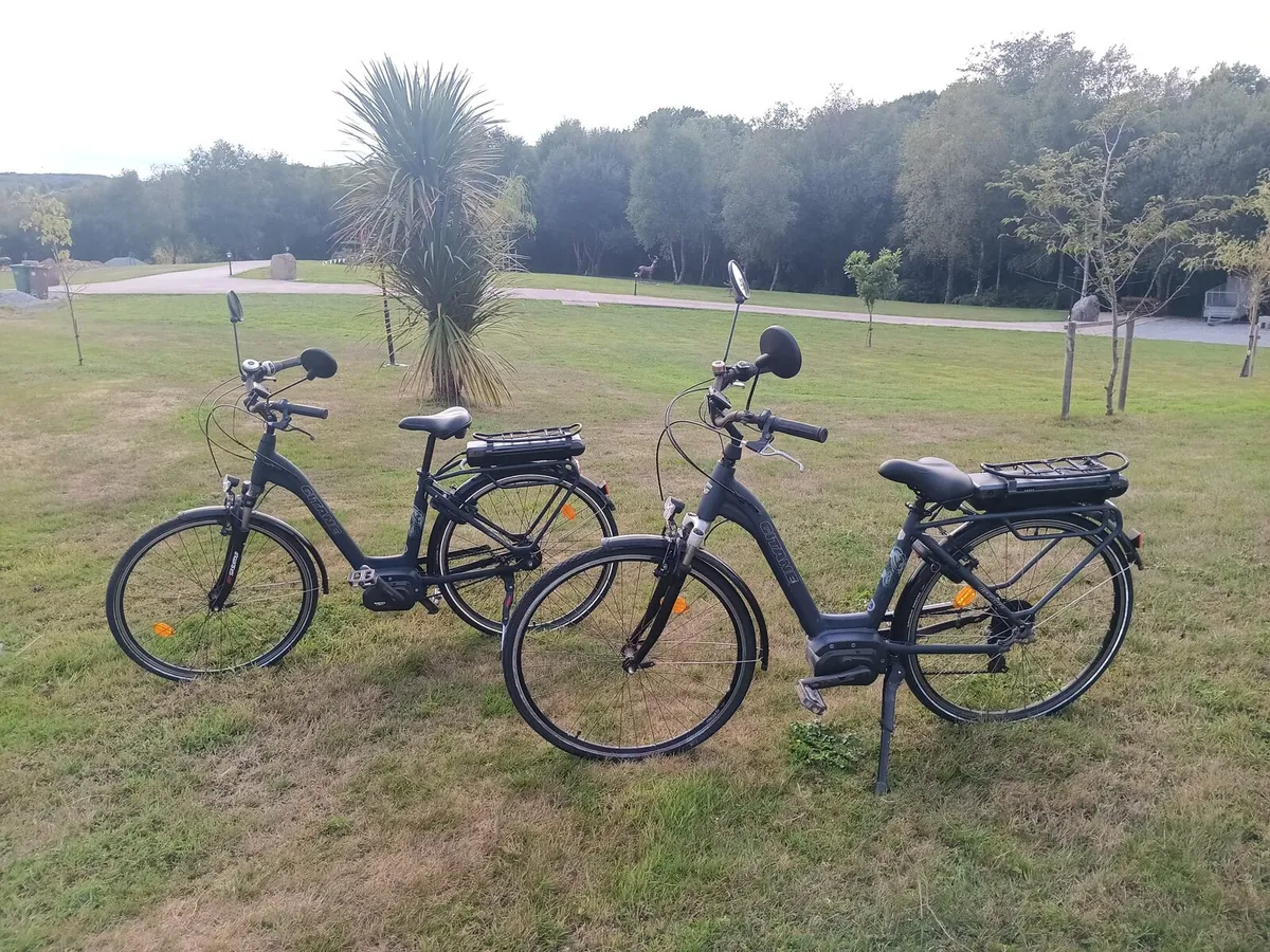 Electric bikes - 2 gitane Electric bikes - Image 1