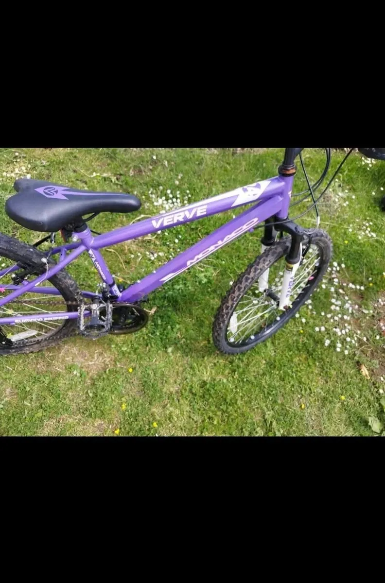 Girls Mountain Bike Verve Monaco 24 inch 18 speed - Image 3