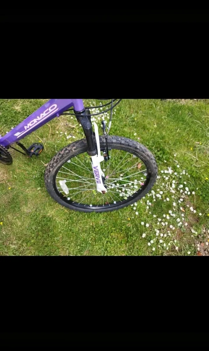 Girls Mountain Bike Verve Monaco 24 inch 18 speed - Image 4