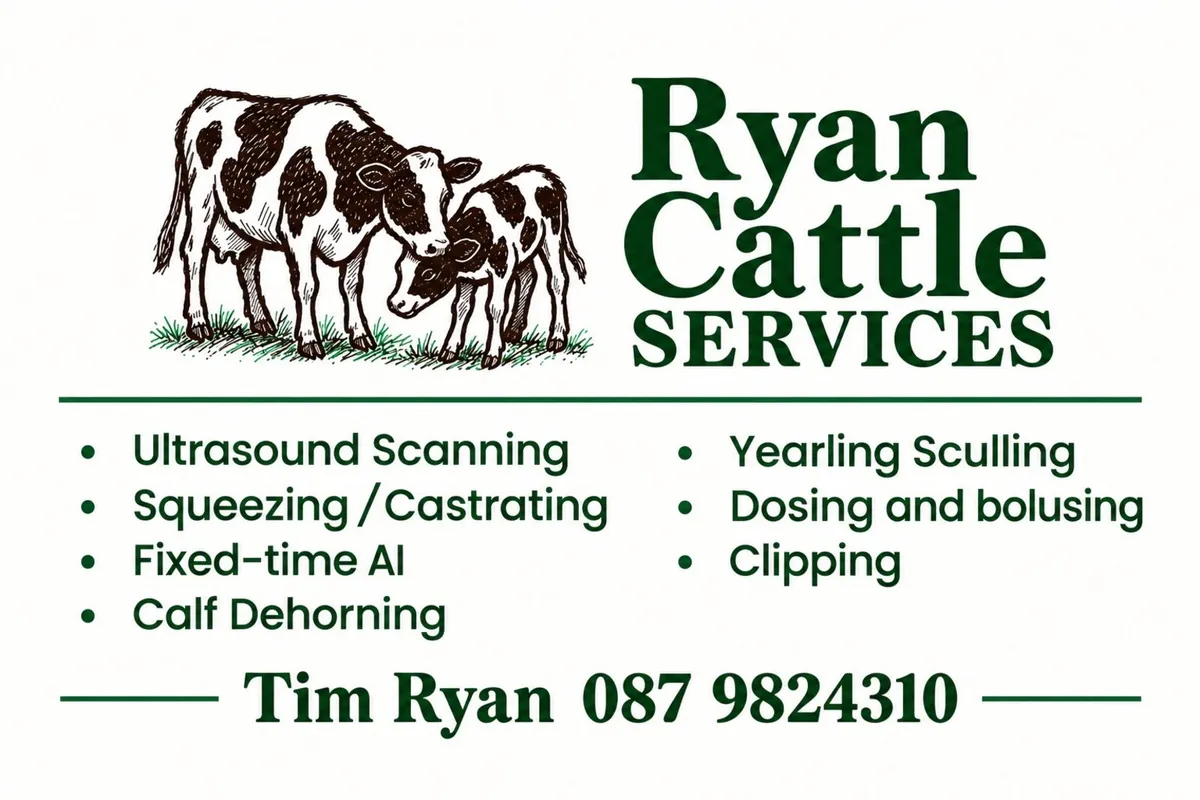 Cattle Services : scanning and all cattle work