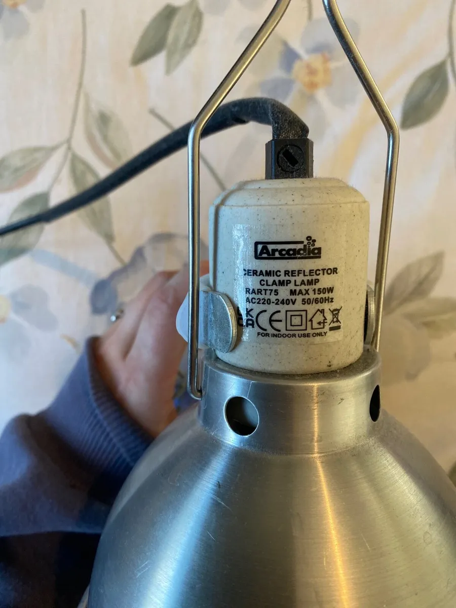 Reptile lighting - Image 1