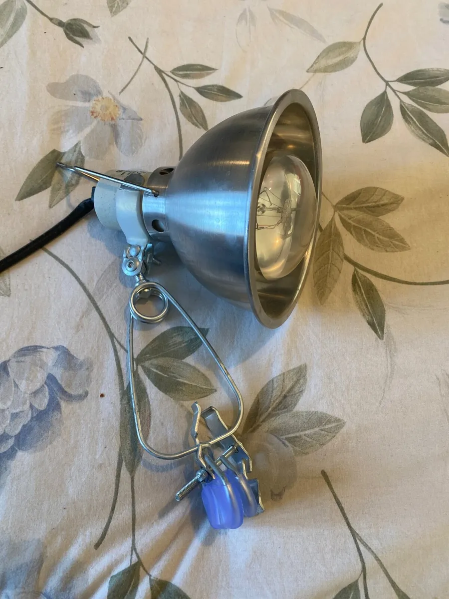 Reptile lighting - Image 2