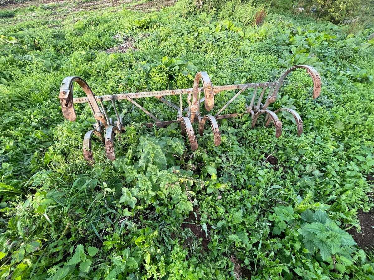 Ferguson Grubber - Image 4