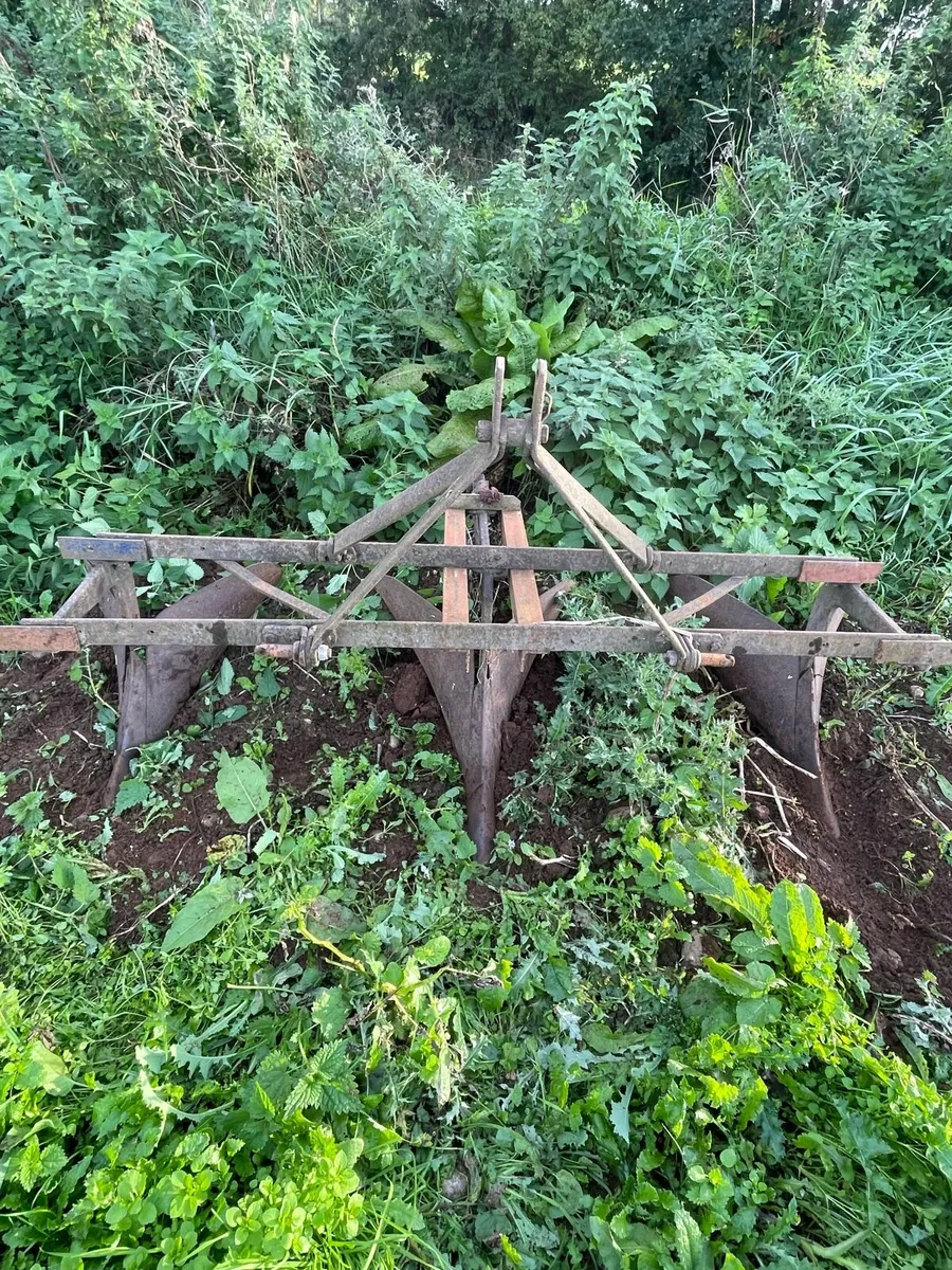 Ferguson drill plough - Image 1