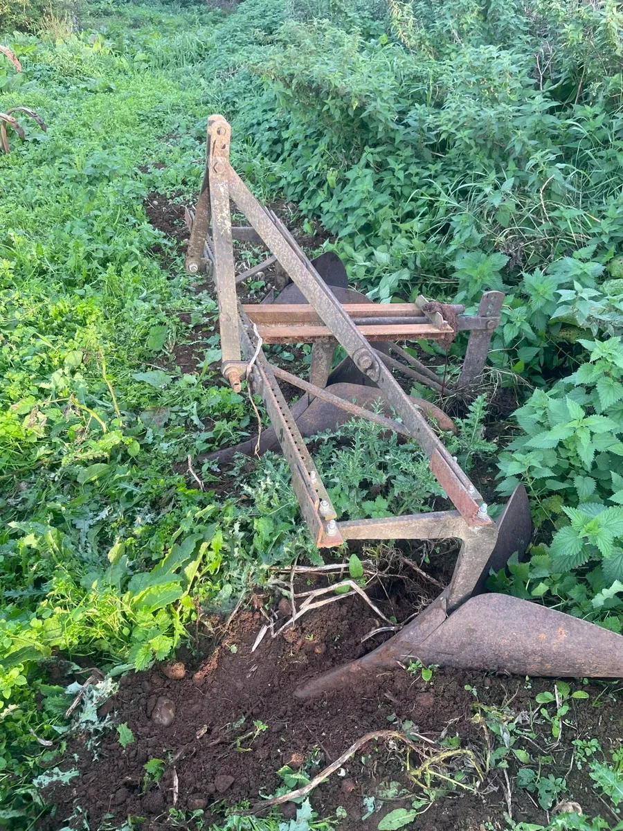Ferguson drill plough - Image 2
