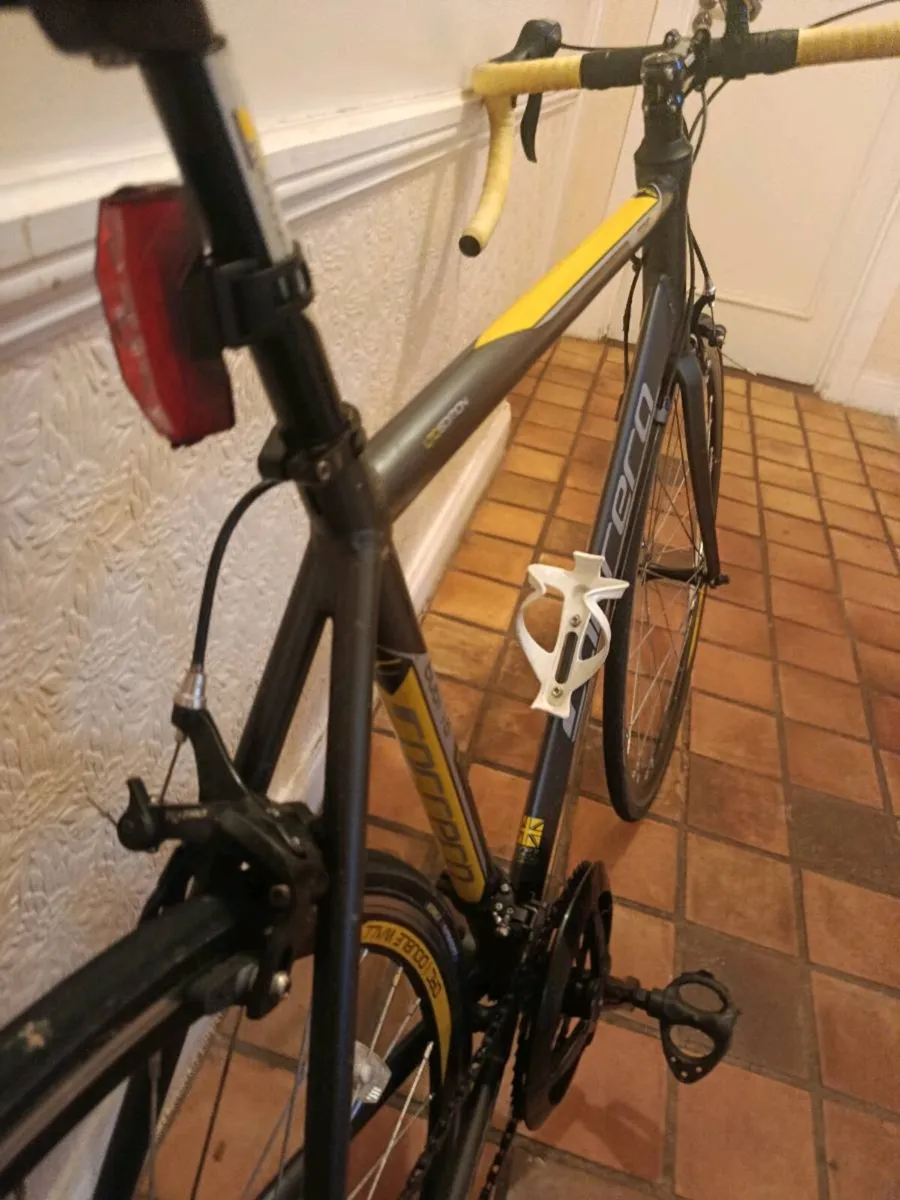 Carrera LTD Edition carbon front forks - Image 2