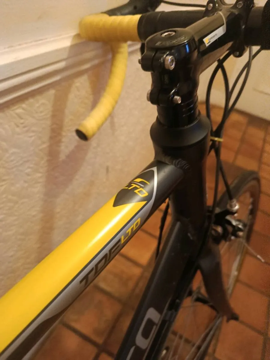 Carrera LTD Edition carbon front forks - Image 3