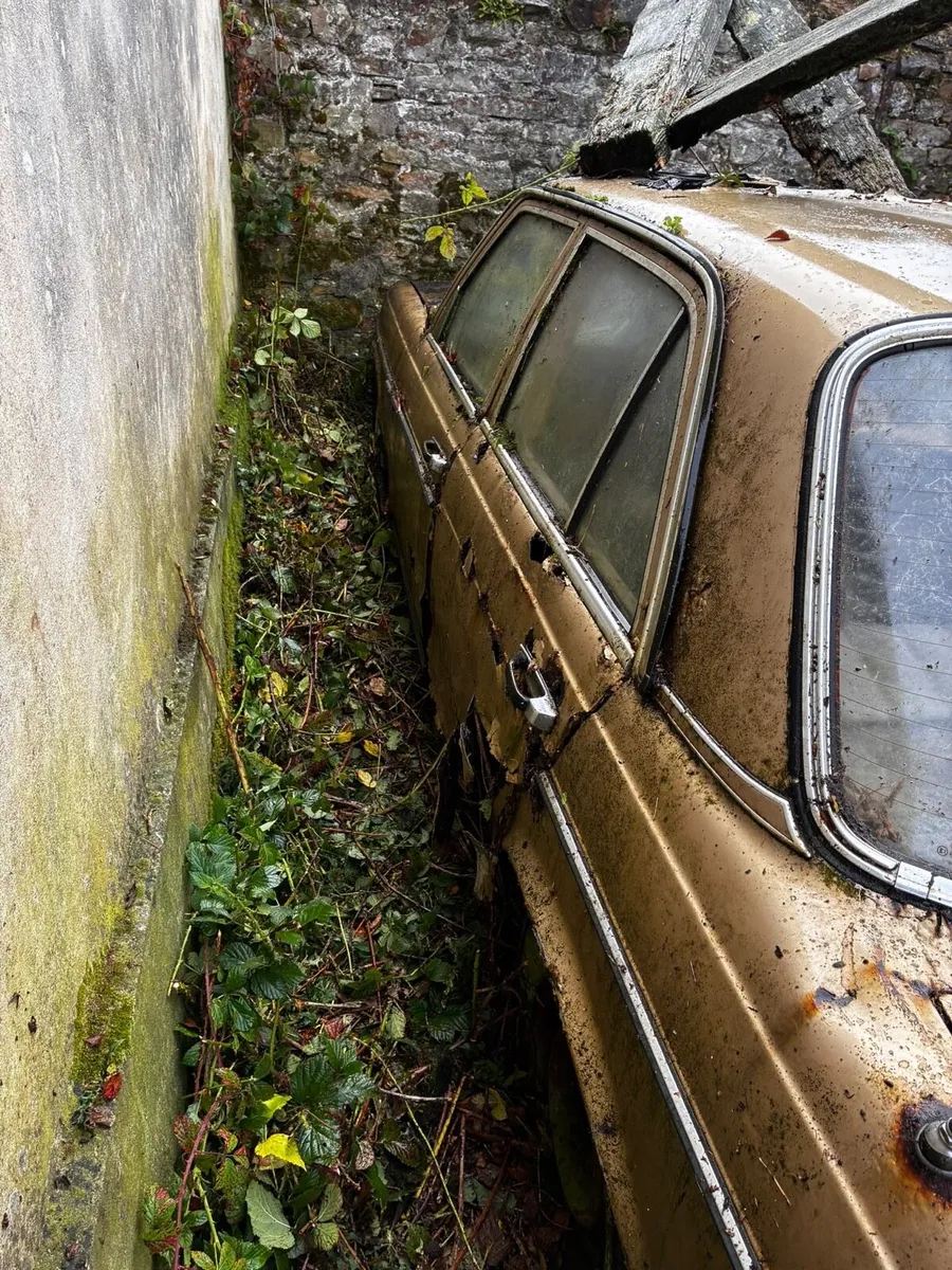 Sunbeam Rapier - Image 3