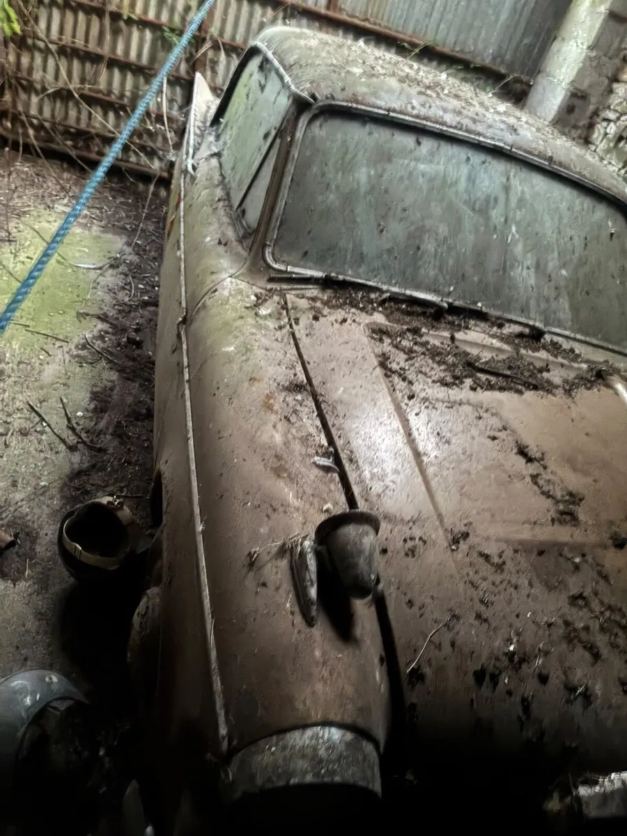 Sunbeam Rapier - Image 2