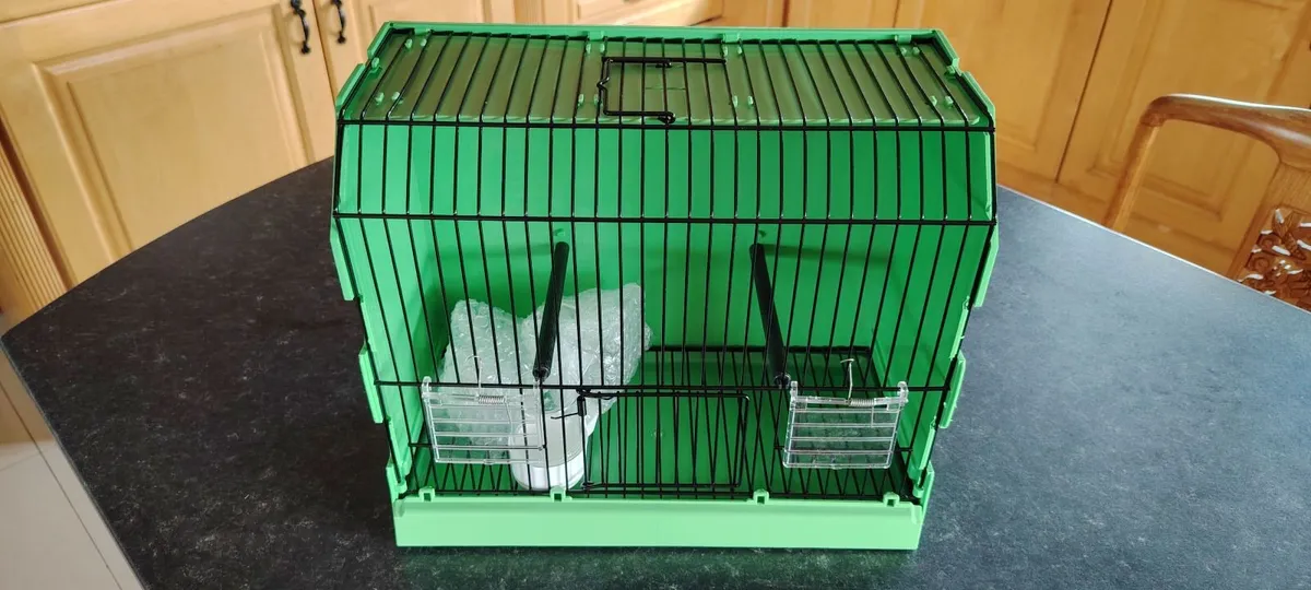 Canaries and Equipment for sale - Image 1