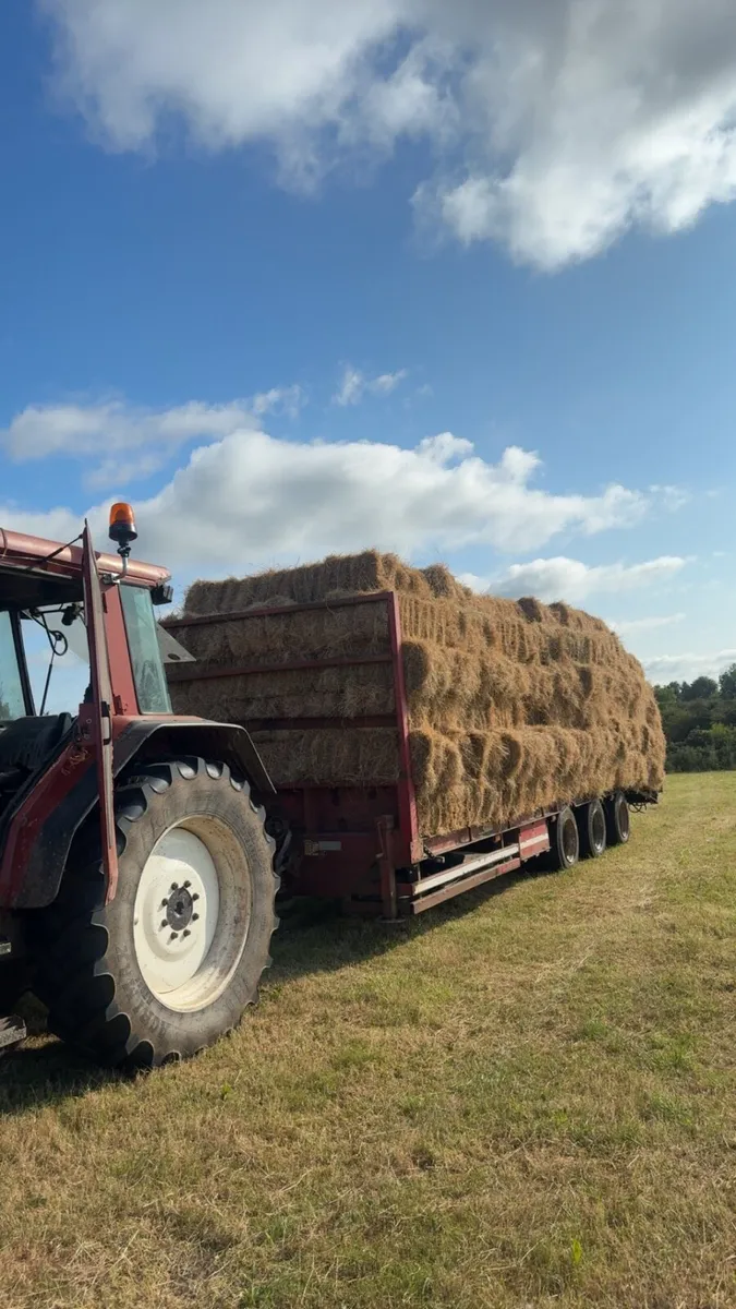Hay and silage - Image 1