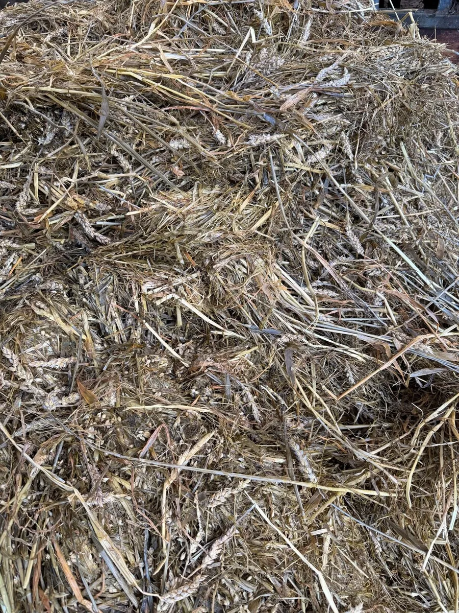 Round bale silage and haylage,Square bales haylage - Image 3