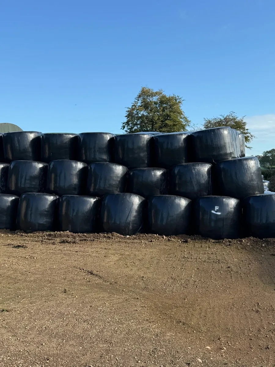 Round bale silage and haylage,Square bales haylage - Image 1