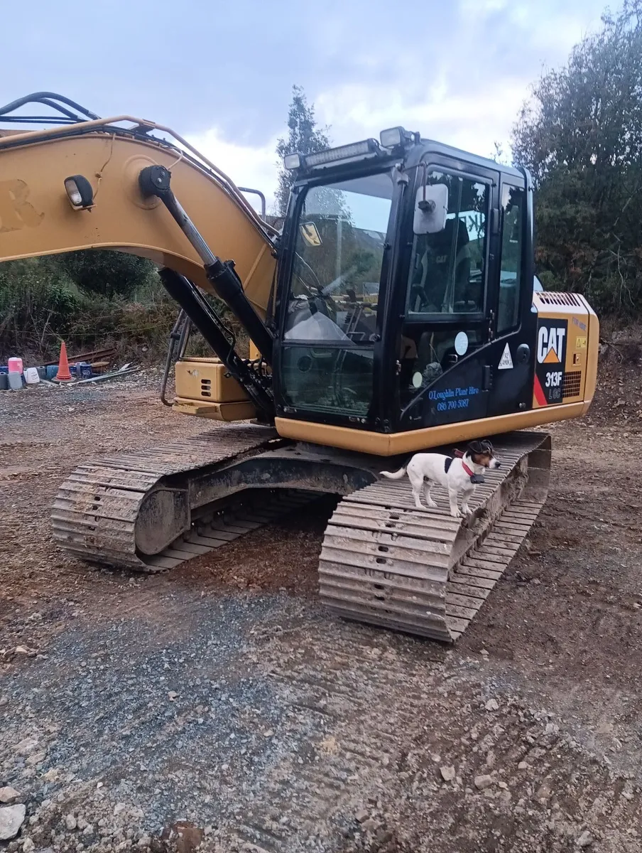 Cat 313flgc - Image 1