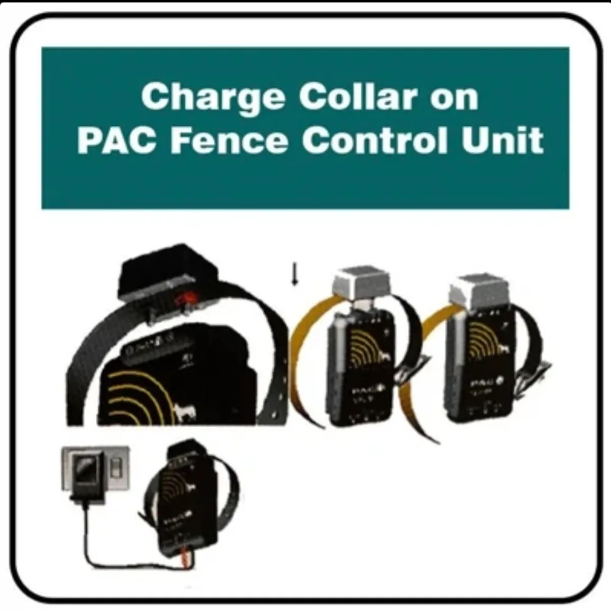 PAC Dog Collar System - Image 2