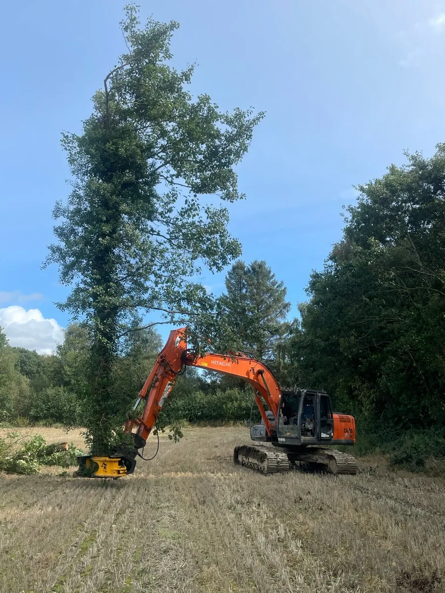 Tree shearing/mulching - Image 1