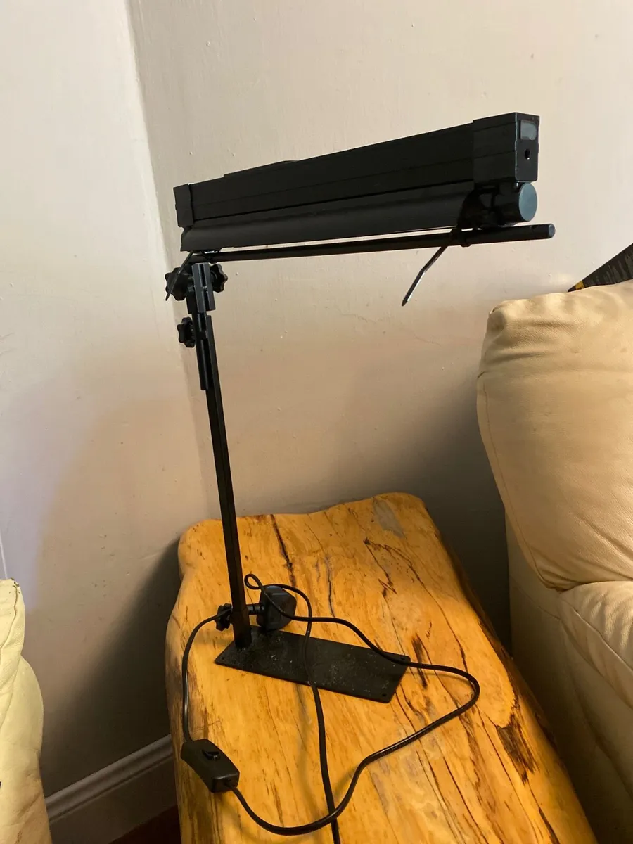 Reptile lighting - Image 1