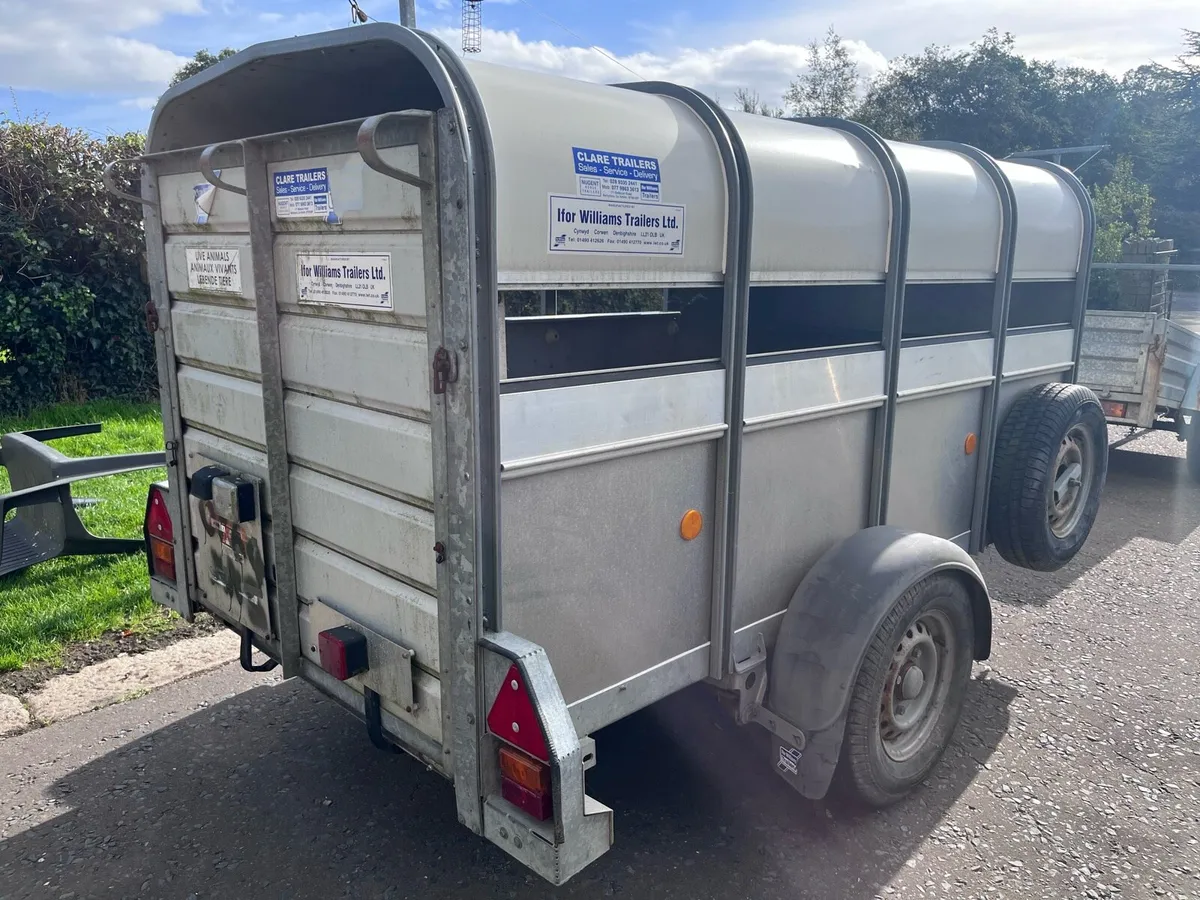 Ifor Williams P8 Sheep Trailer - Image 4