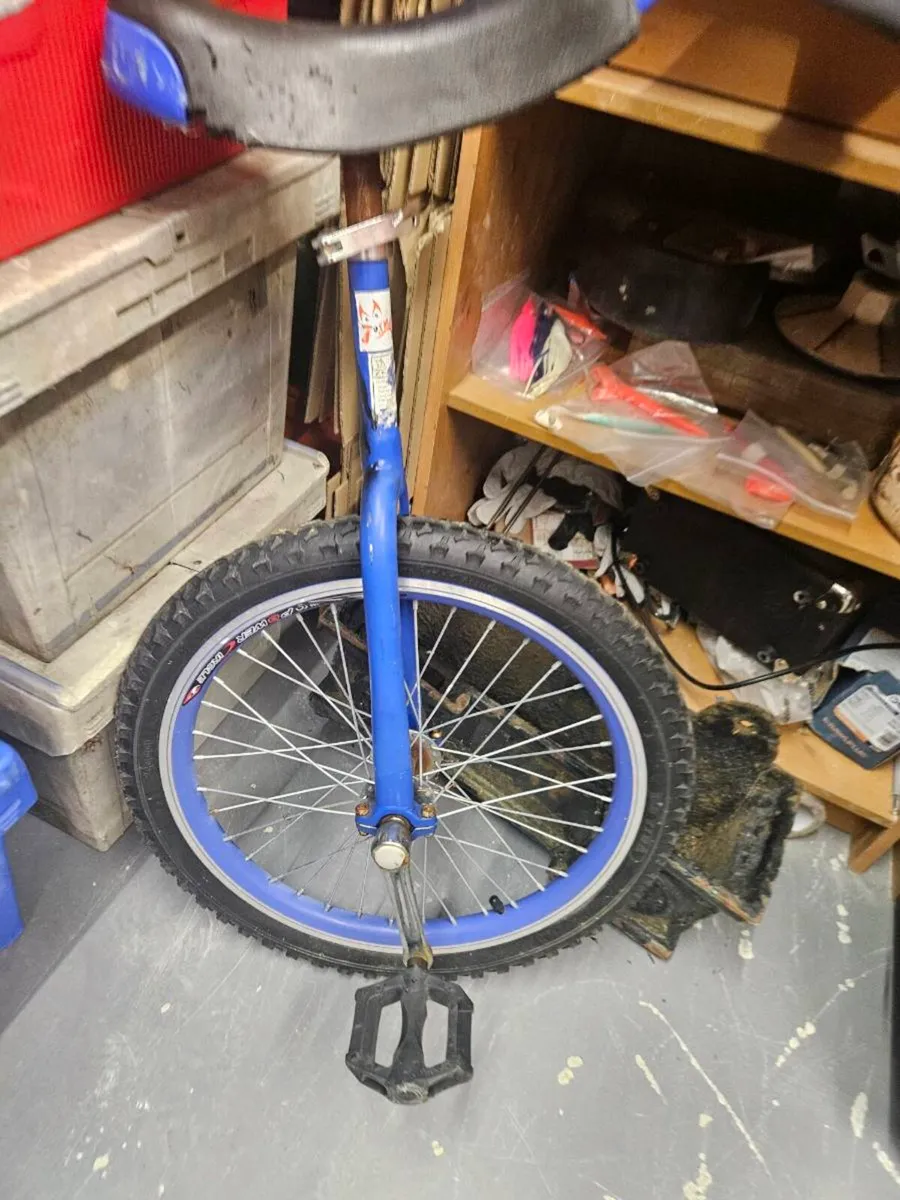 Unicycle - Image 4