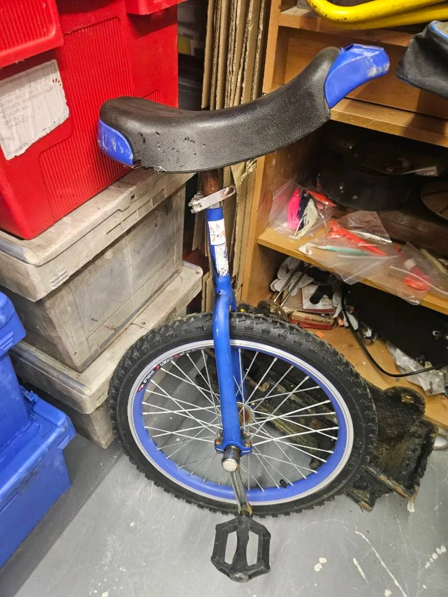 Unicycle - Image 1