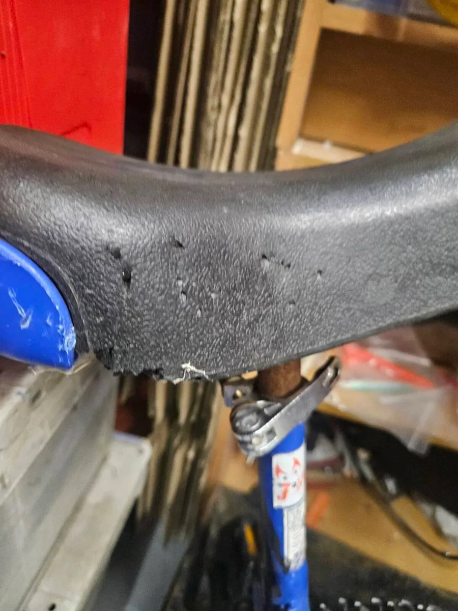 Unicycle - Image 2