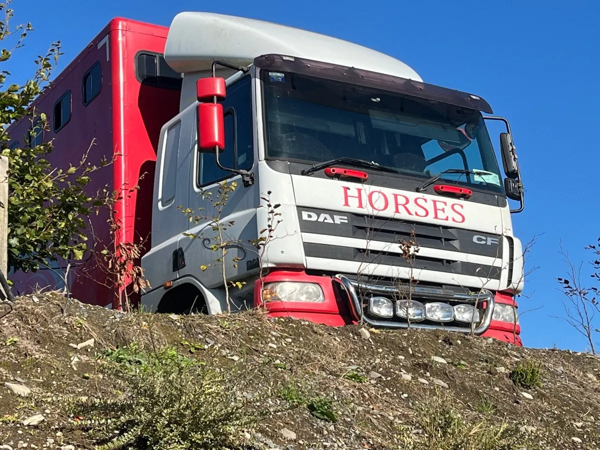Horse truck/lorry - Image 3