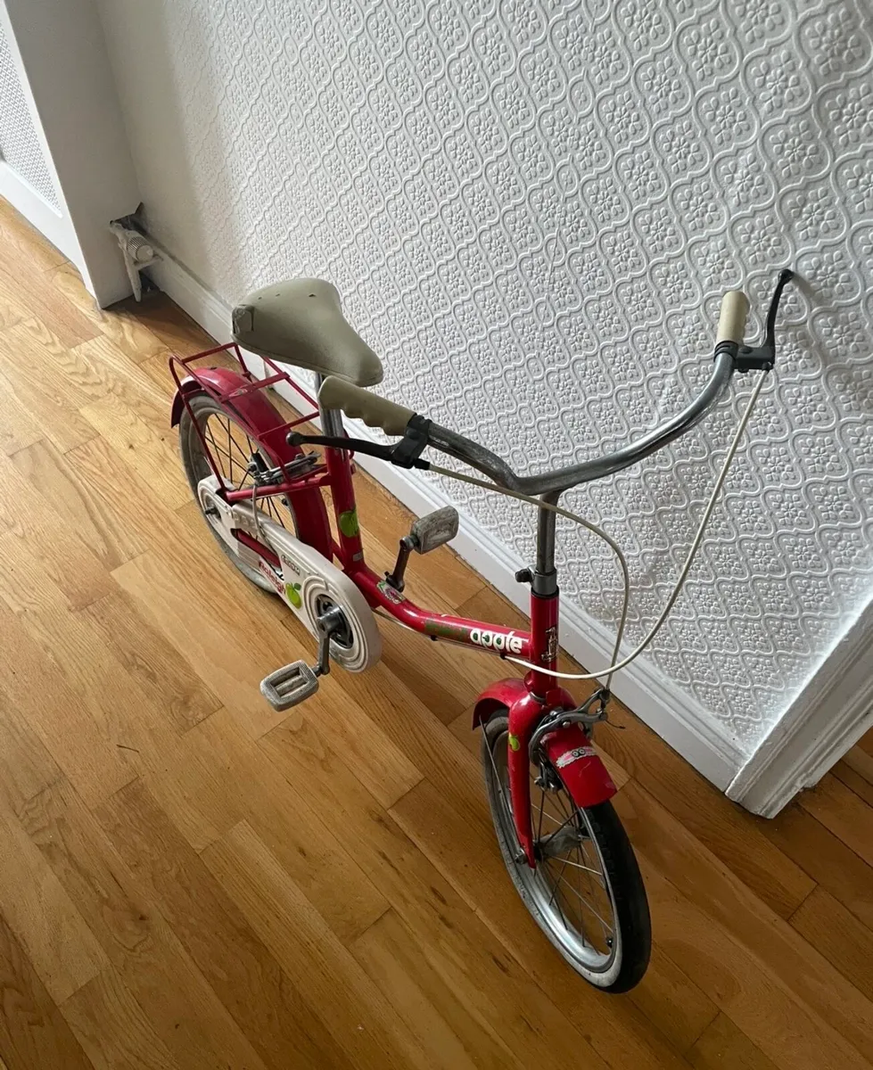 Raleigh apple - Image 1
