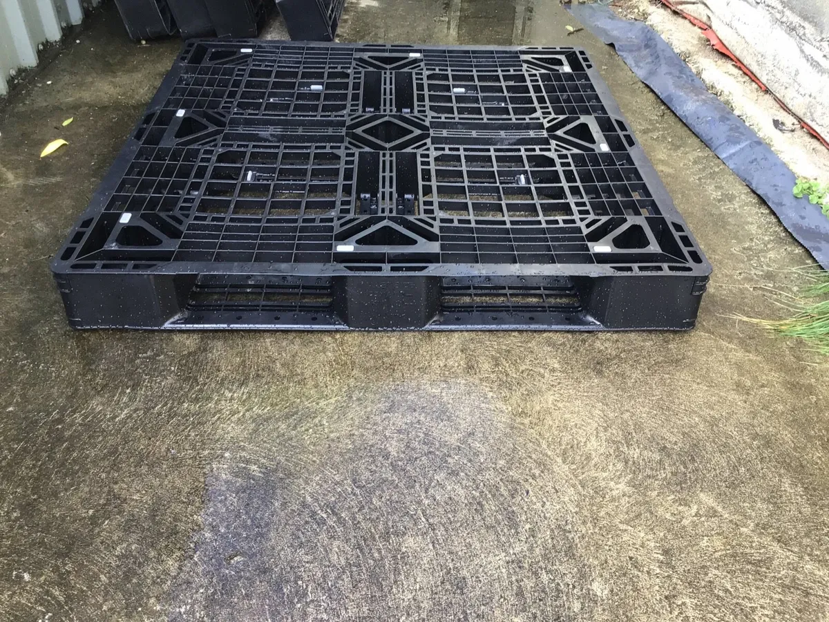 Plastic Pallets X 5 - Image 2