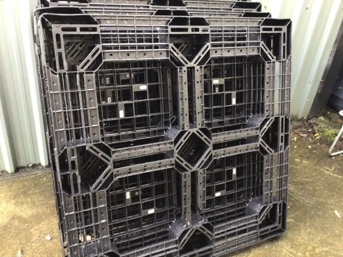Plastic Pallets X 5 - Image 3